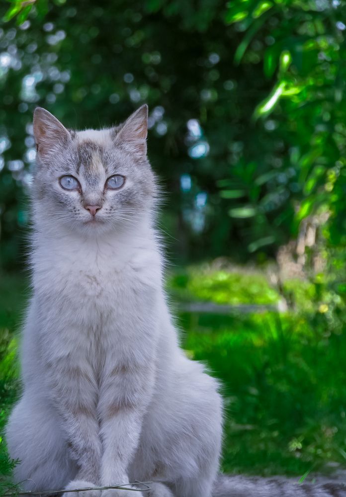 Фотография автора Vladimir Kostyuchkov