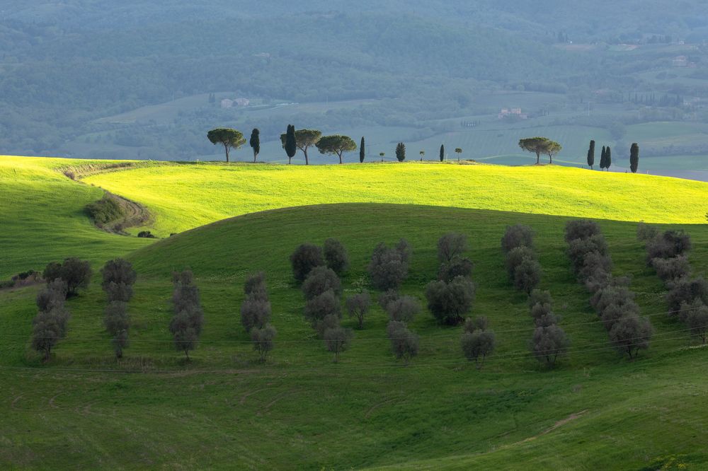 Photograph by Евгения Чех