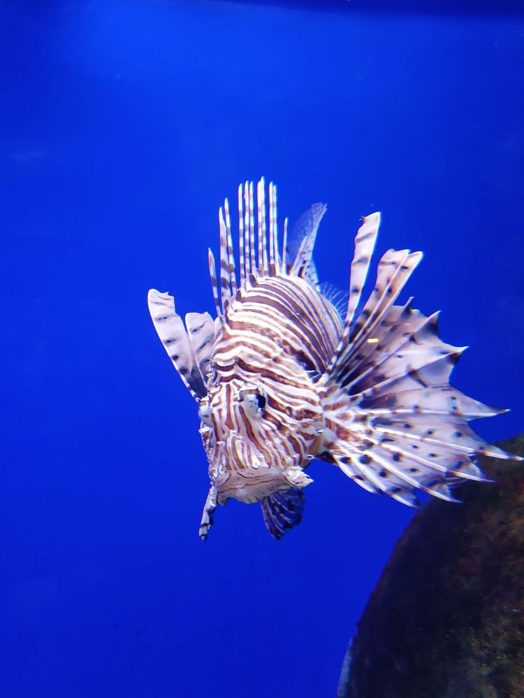 Photograph by Светлана Сафонова