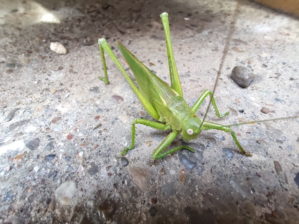 Photograph by Максим