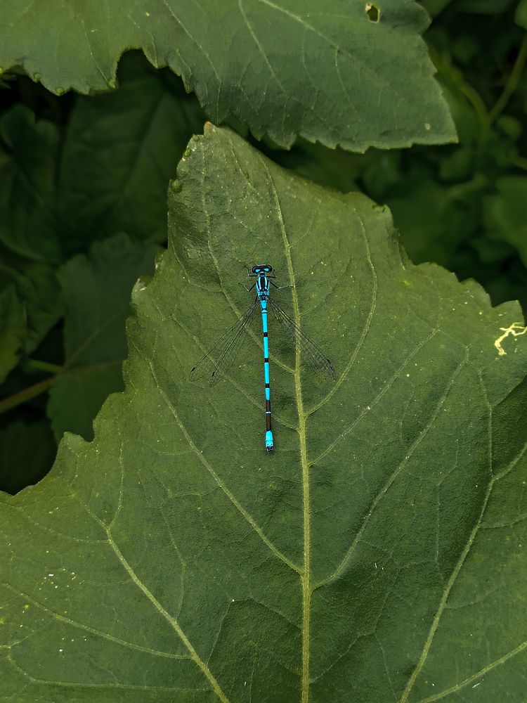 Photograph by Ирина Дегтярева