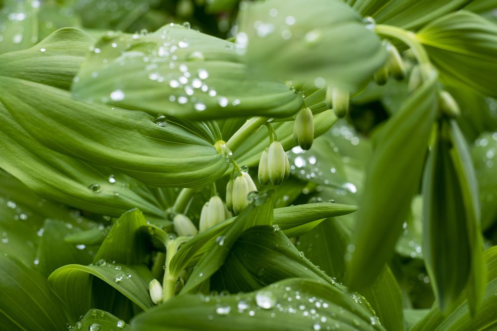 Photograph by Серебренников Михаил