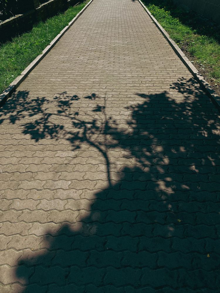 Photograph by Швай Наталья