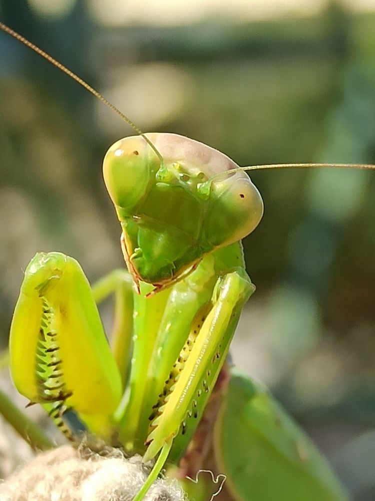 Photograph by Долгушева Татьяна