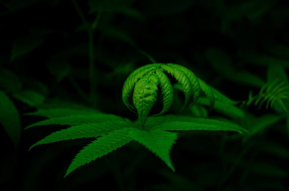 Photograph by Вадим Басов