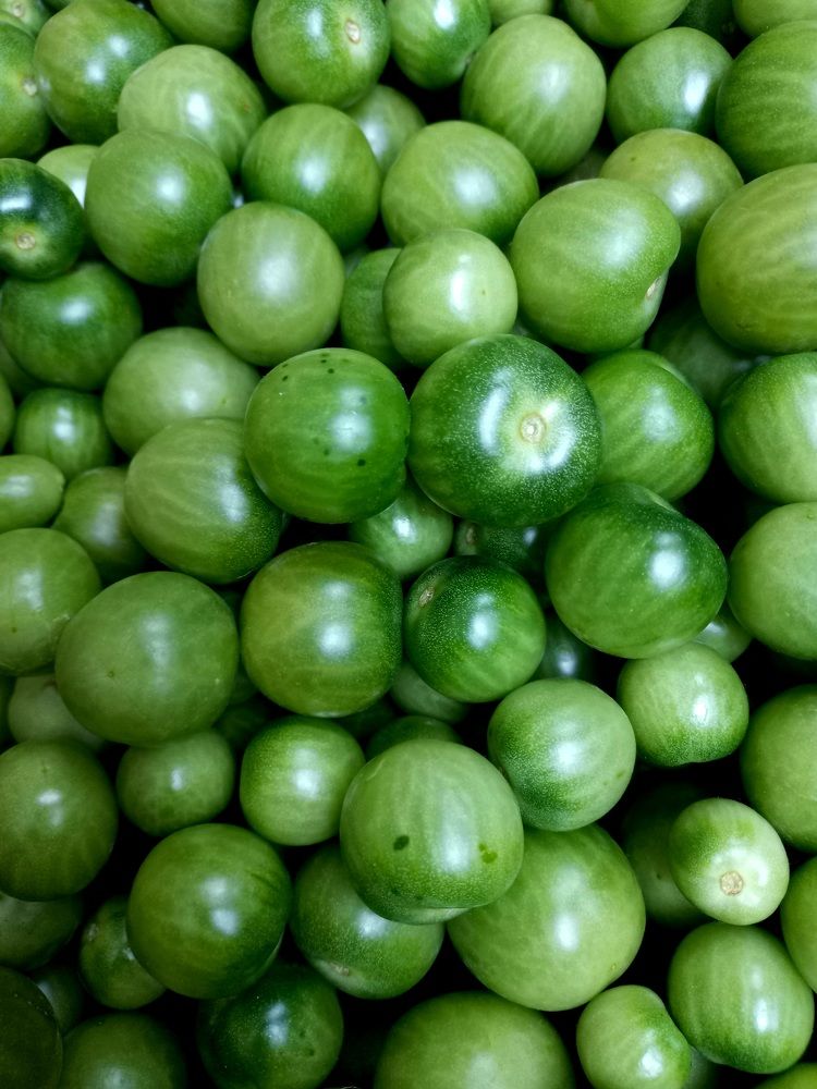 Photograph by Зоя Кулько