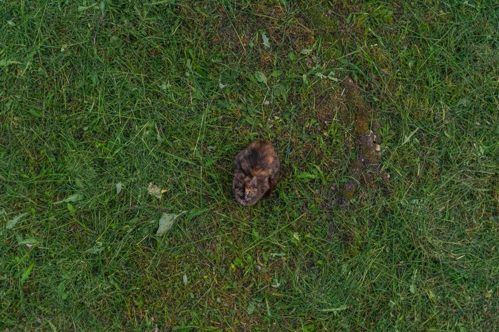 Photograph by Александр Ходакин