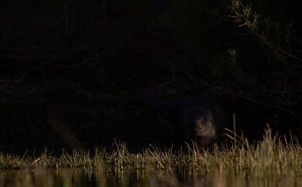 Photograph by Deon Oosthuizen