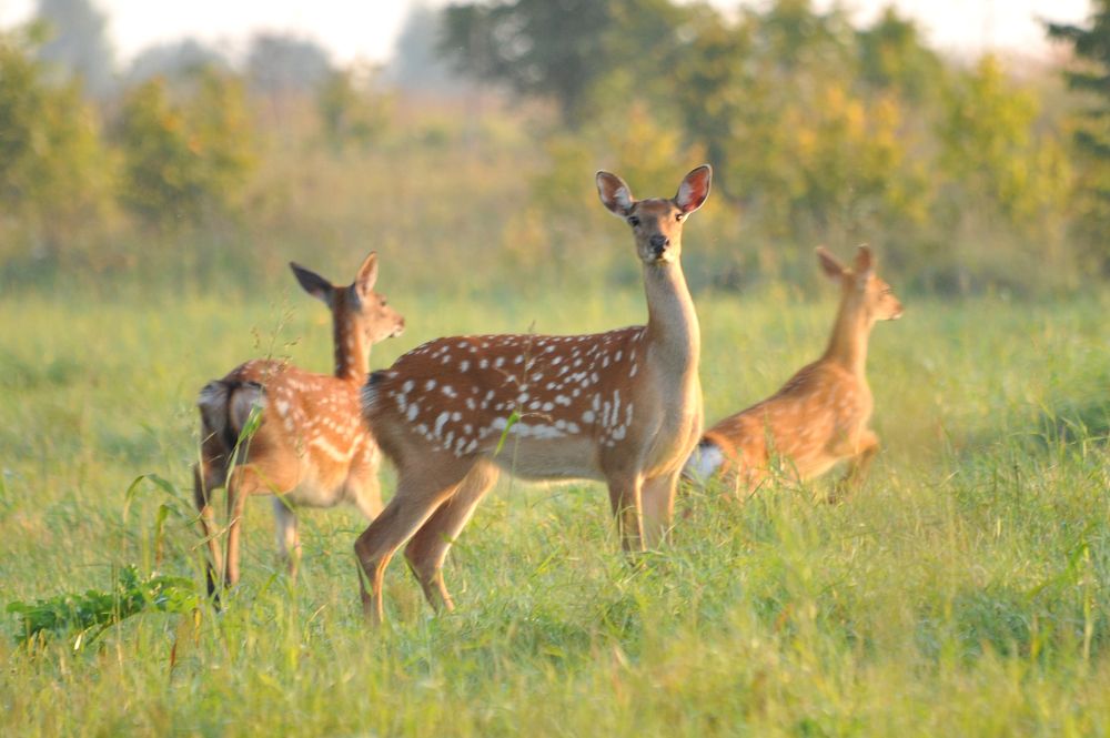 Photograph by Юрий Яковлев