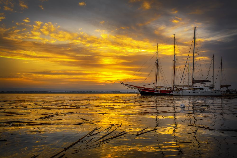 Photograph by Sergey Lexin