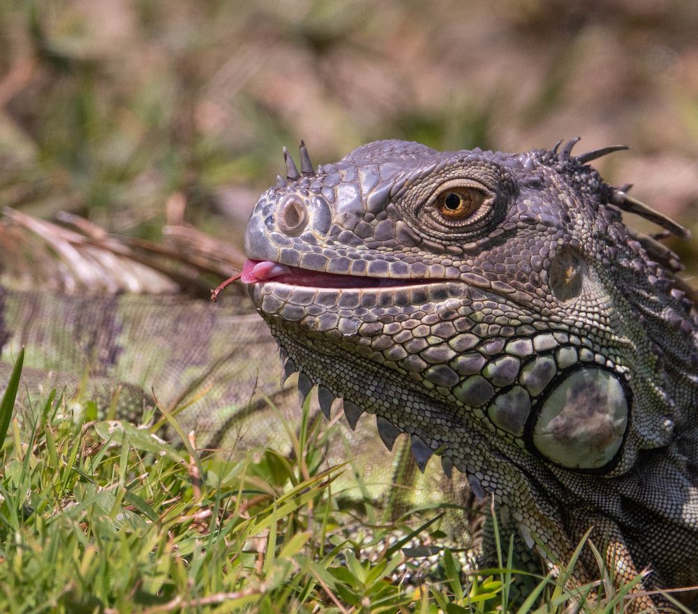 Photograph by Андрей Кротов