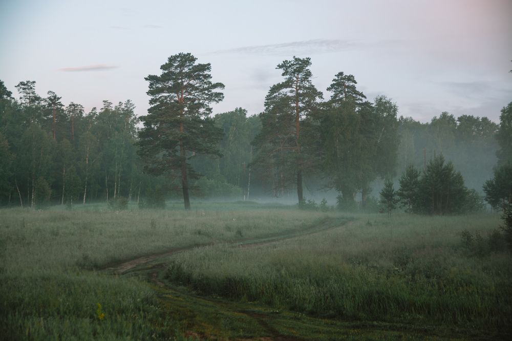 Photograph by Альбина Баташова