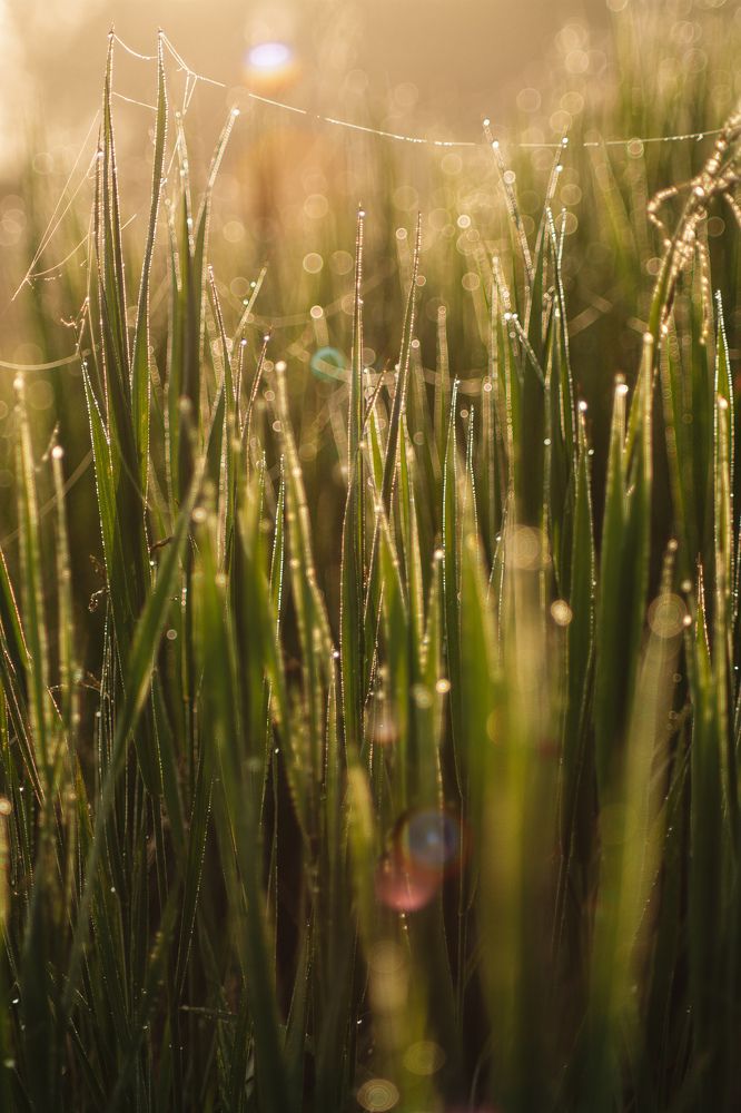 Photograph by Альбина Баташова