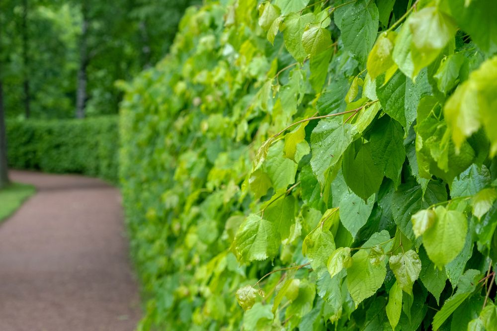 Photograph by Серебренников Михаил