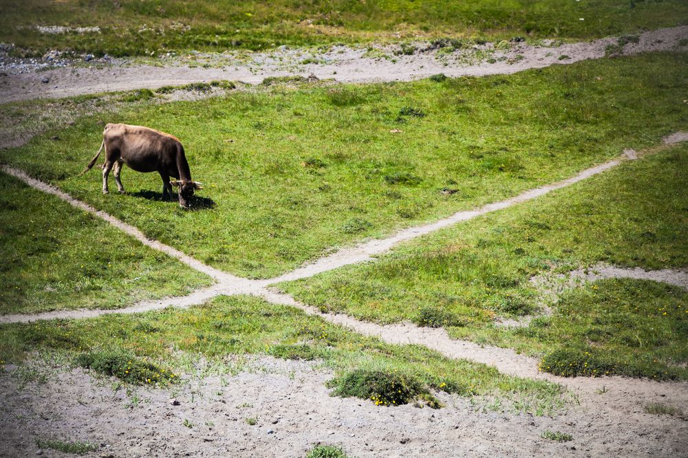 Четыре четверти еды ...