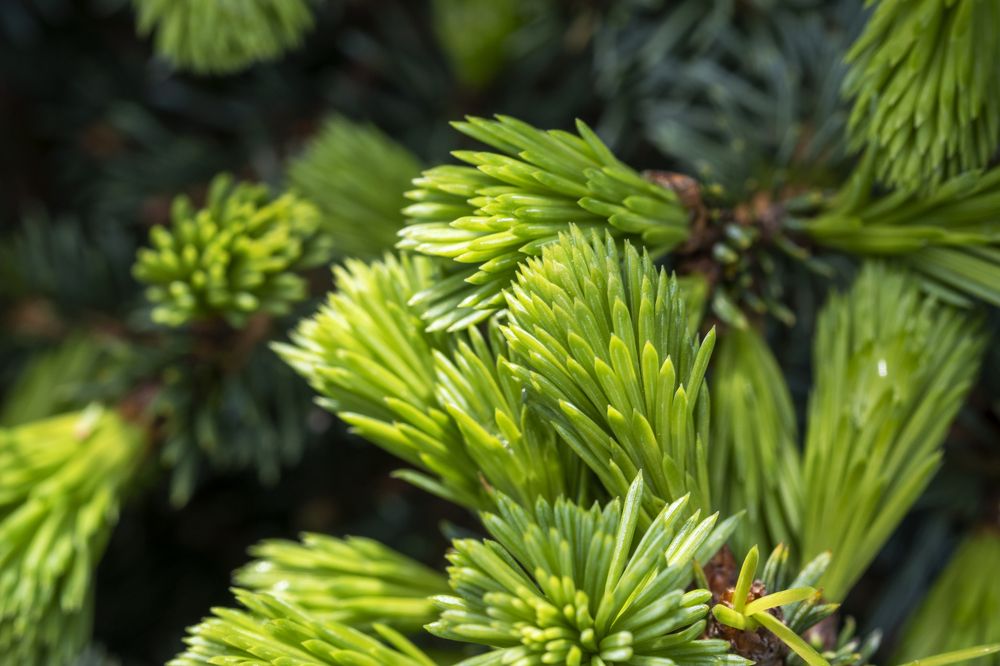 Photograph by Серебренников Михаил