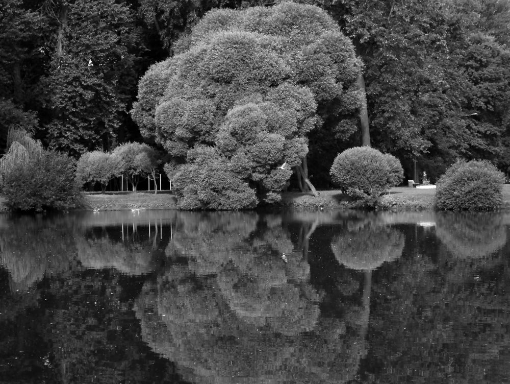 Фотография автора Екатерина Есаулова