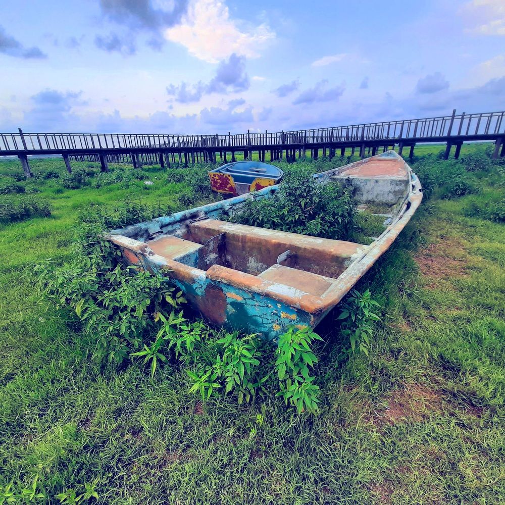 Photograph by Soheil Shams