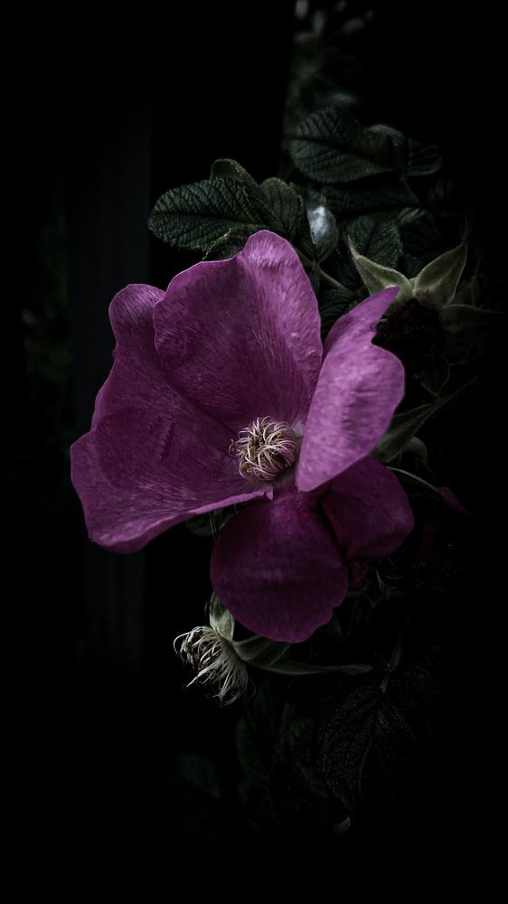 Photograph by Дарья Макаревич