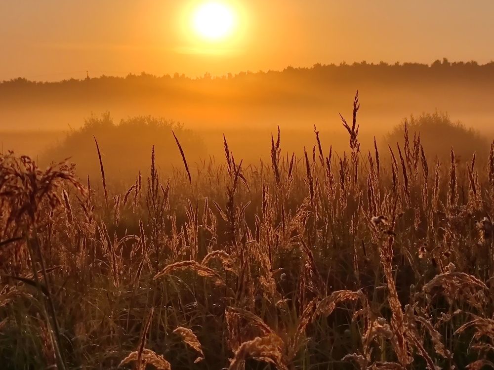 Photograph by Екатерина Харитонова