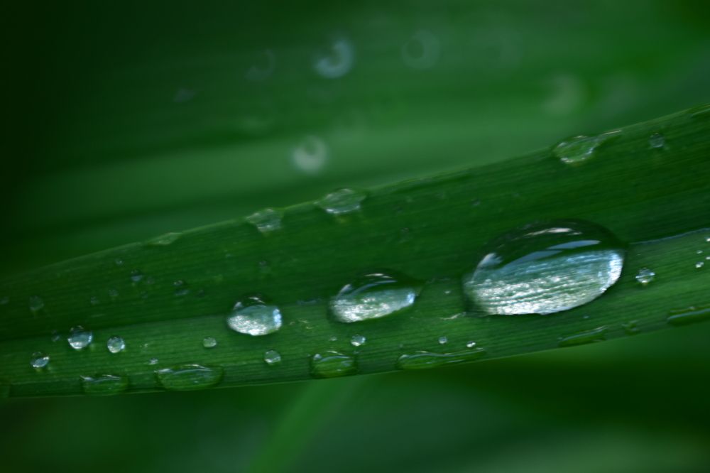 Photograph by Наталья Еременко