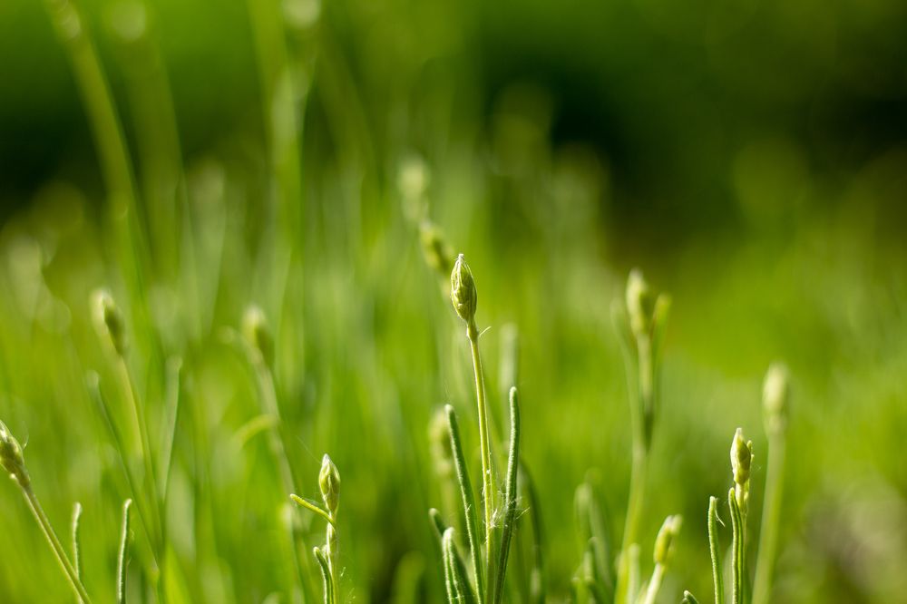 Photograph by Татьяна Кучерова