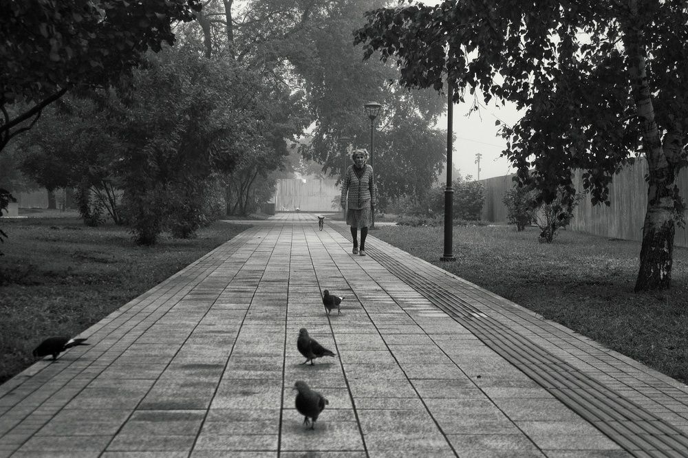 Photograph by Сергей