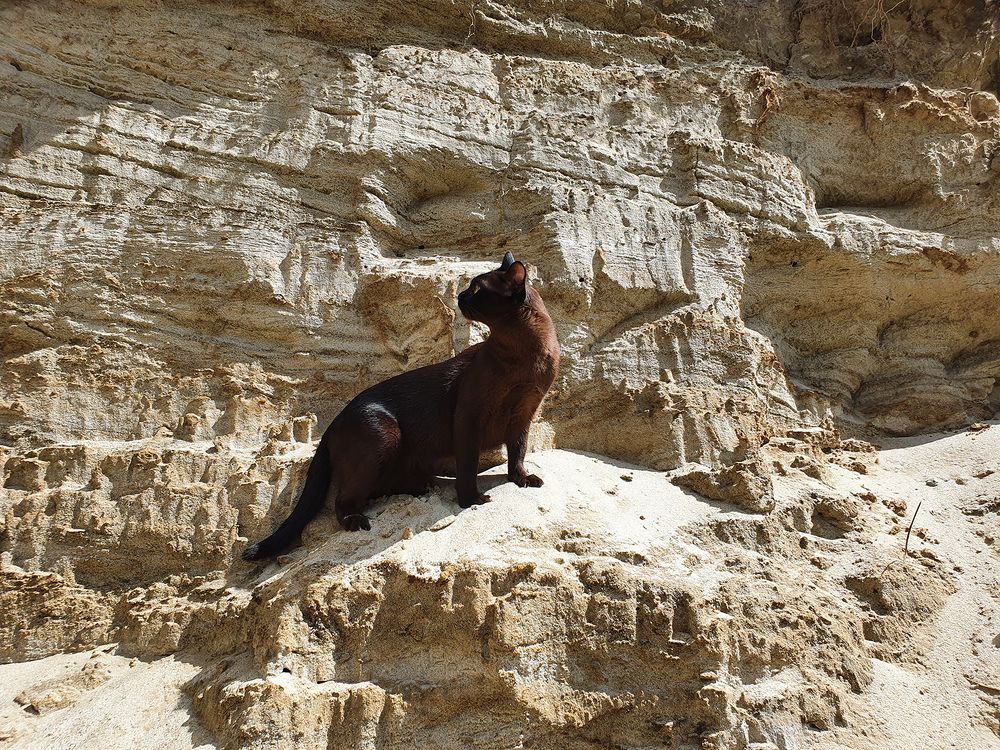 Фотография автора Надежда Лисицына