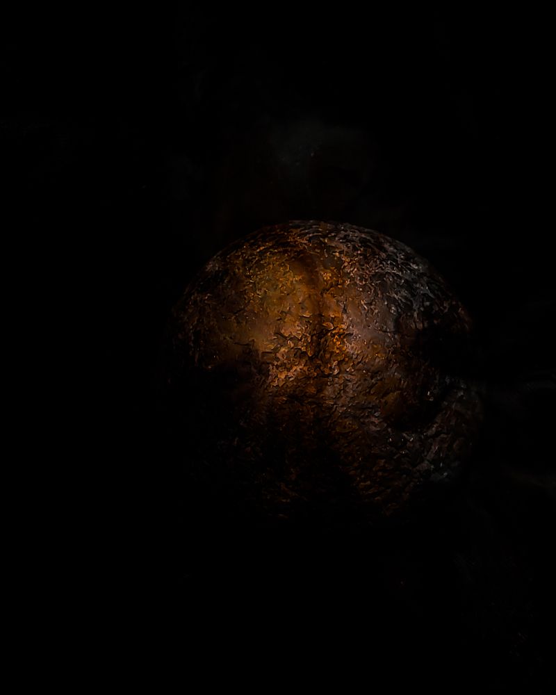 Photograph by Iryna Krotova