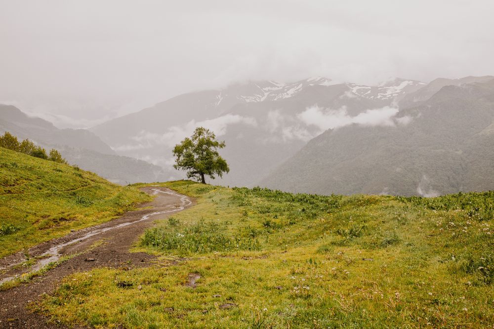 Photograph by Галина Кочеткова