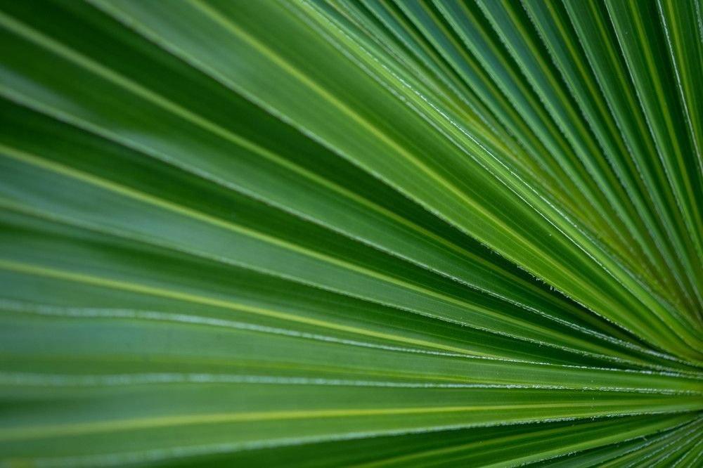 Photograph by Серебренников Михаил