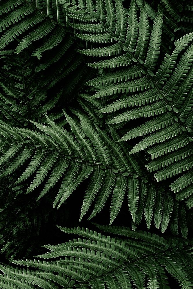 Photograph by Irina Timonina