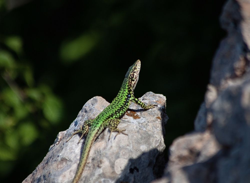 Photograph by Dyakon Zhora