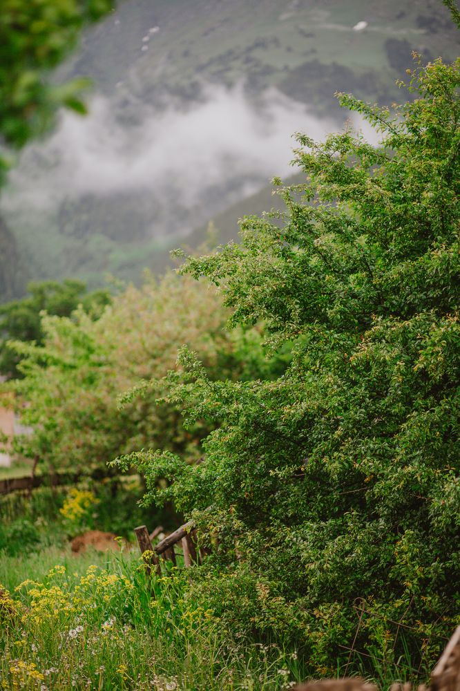 Photograph by Галина Кочеткова