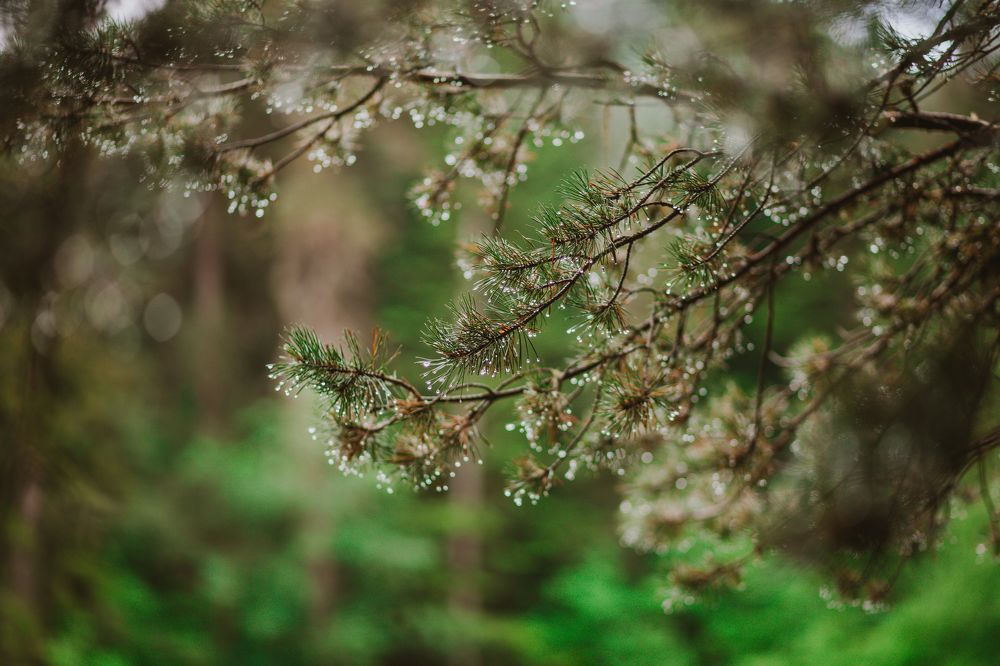 Photograph by Галина Кочеткова