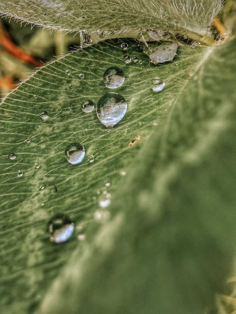 Photograph by Екатерина Вишневская