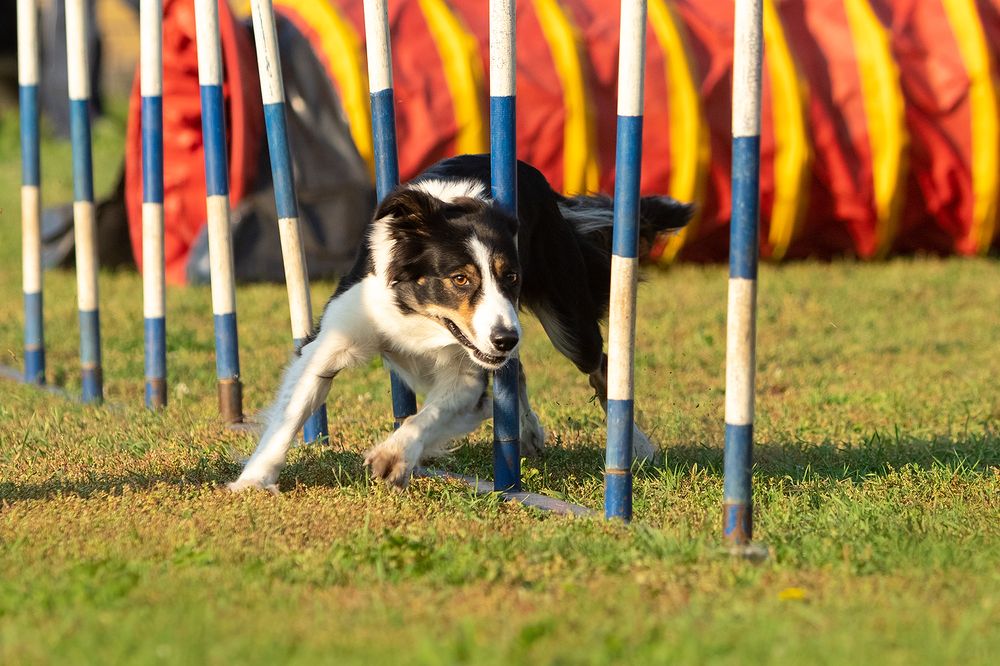 Photograph by Ольга Легенькая
