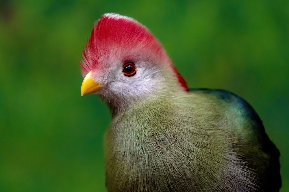 Фотография автора Viktoria