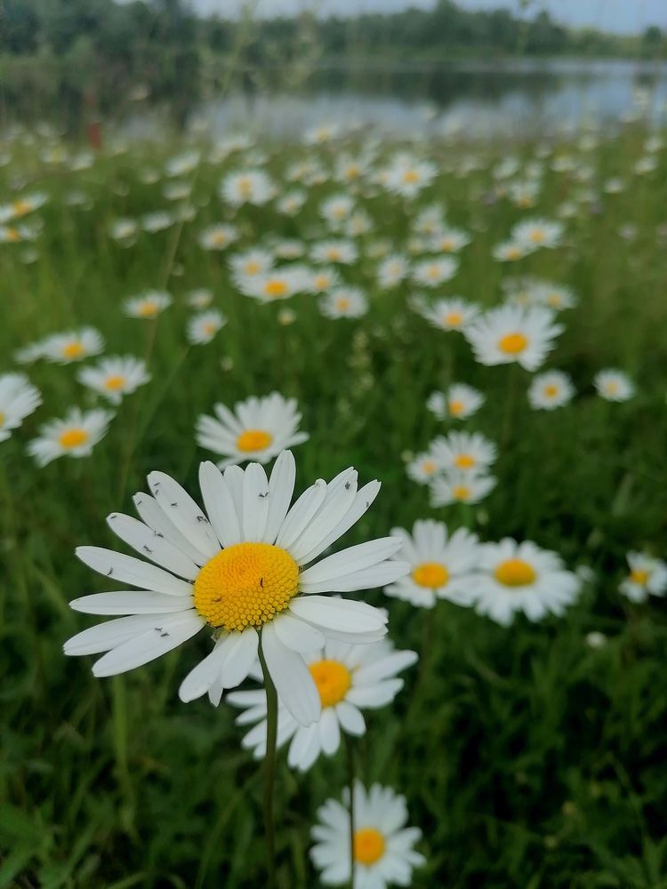 Photograph by Ирина Кортюкова