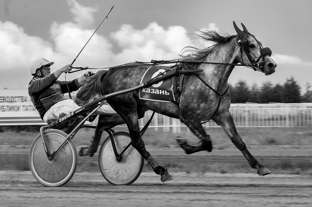 Photograph by Фатыхов Динар