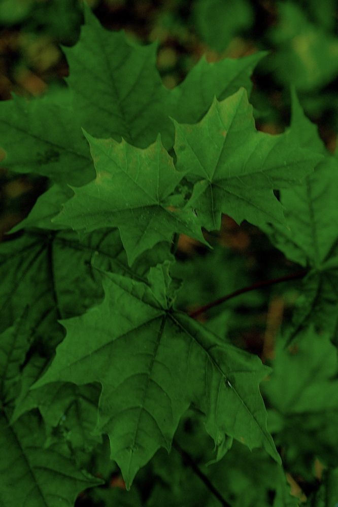 Photograph by Алексей Большаков