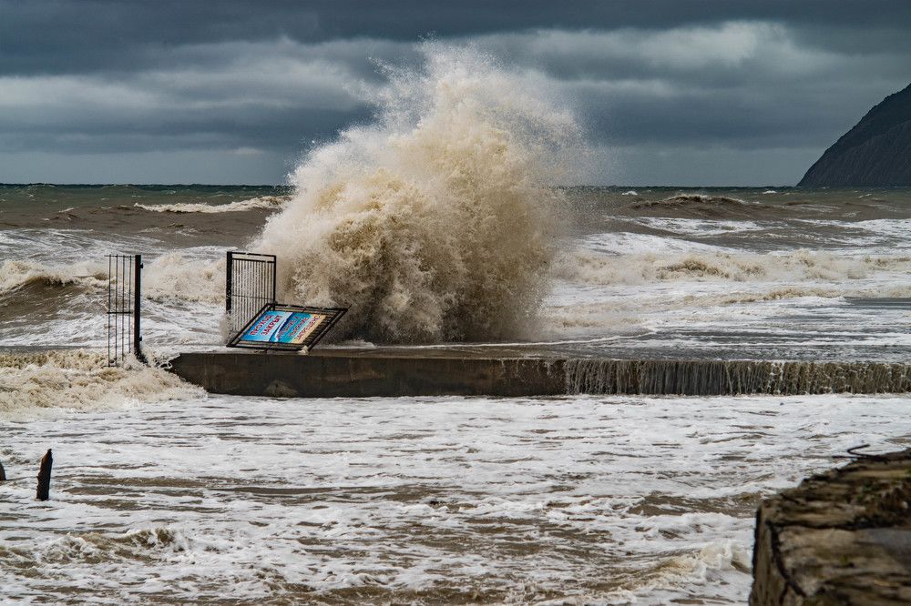 Photograph by Tateshi