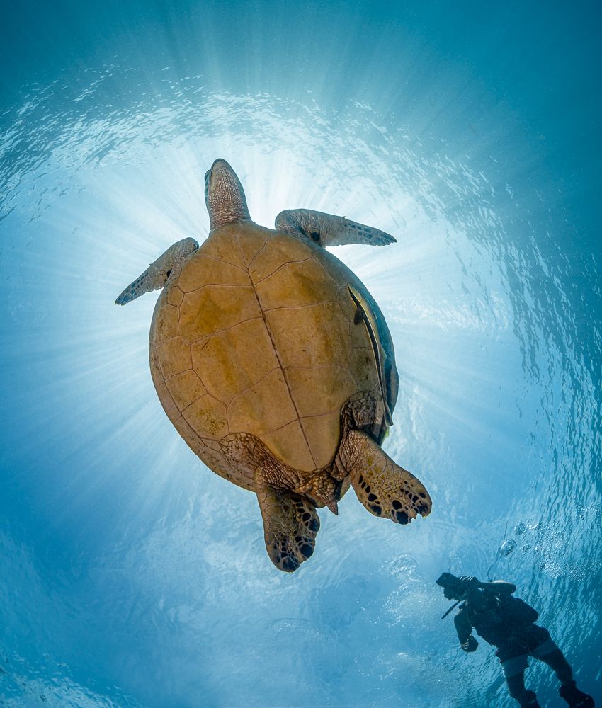 Photograph by Савин Андрей