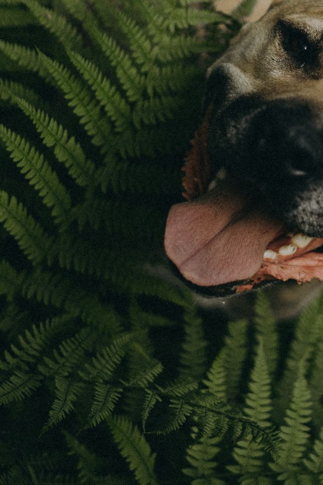 Фотография автора Вика Сердюкова