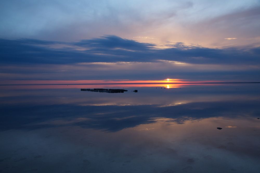 Фотография автора Aricha