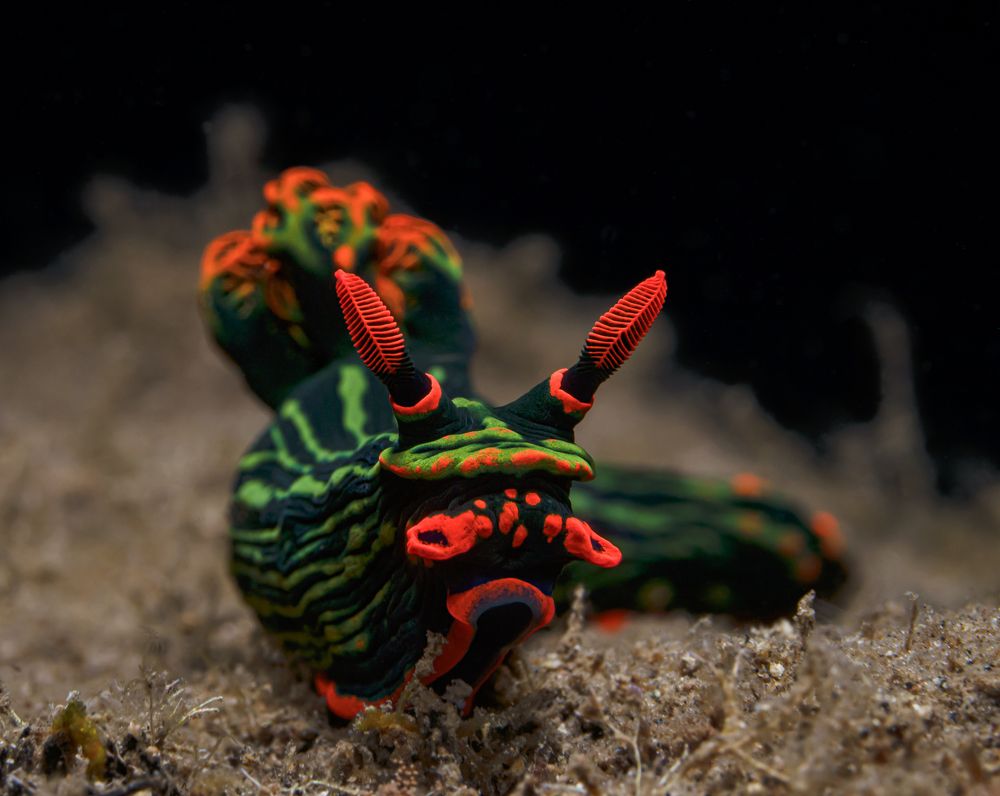 Photograph by Савин Андрей