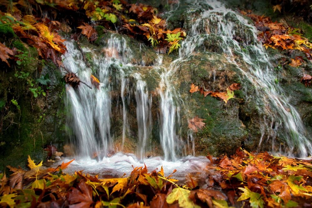 Фотография автора Aricha