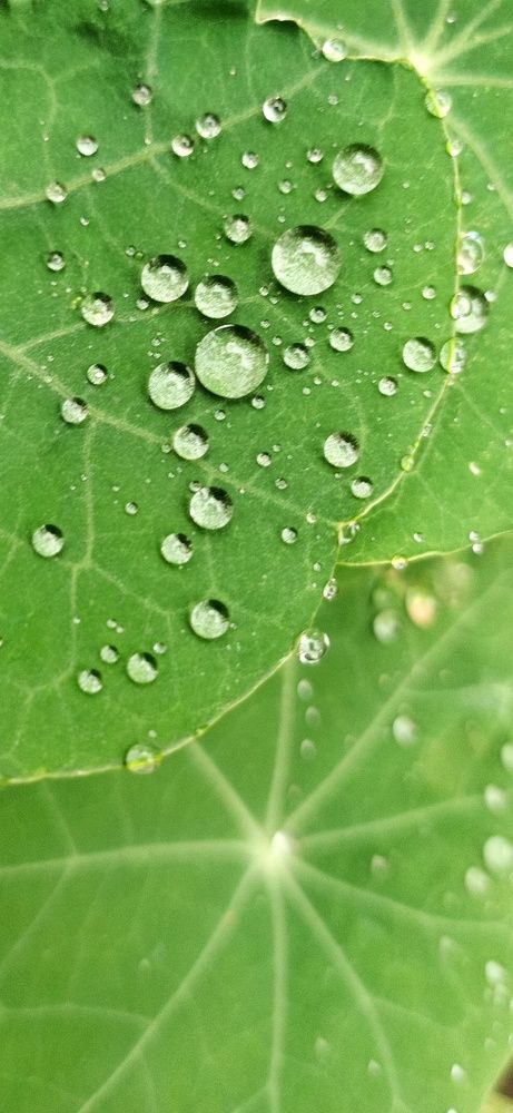 Photograph by Ольга Шерстова