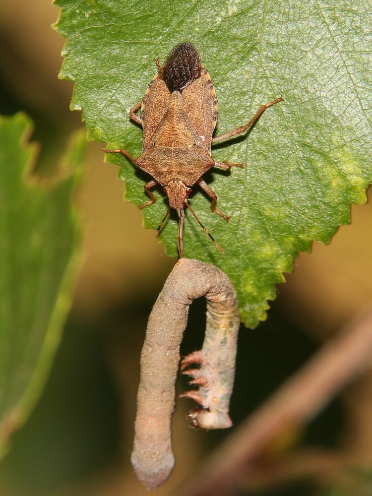 Photograph by Сергей Морозов