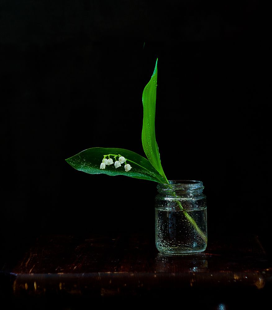 Photograph by Виктория Уварова